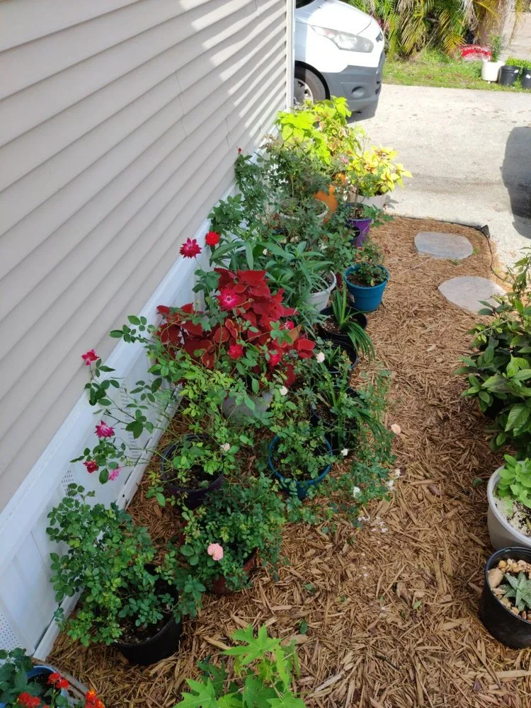 Slide of Tukey's Handy Services