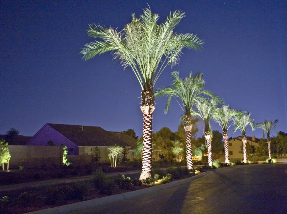 Slide of Twilight Designs