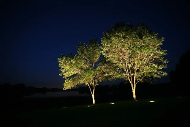 Slide of Twilight Solutions