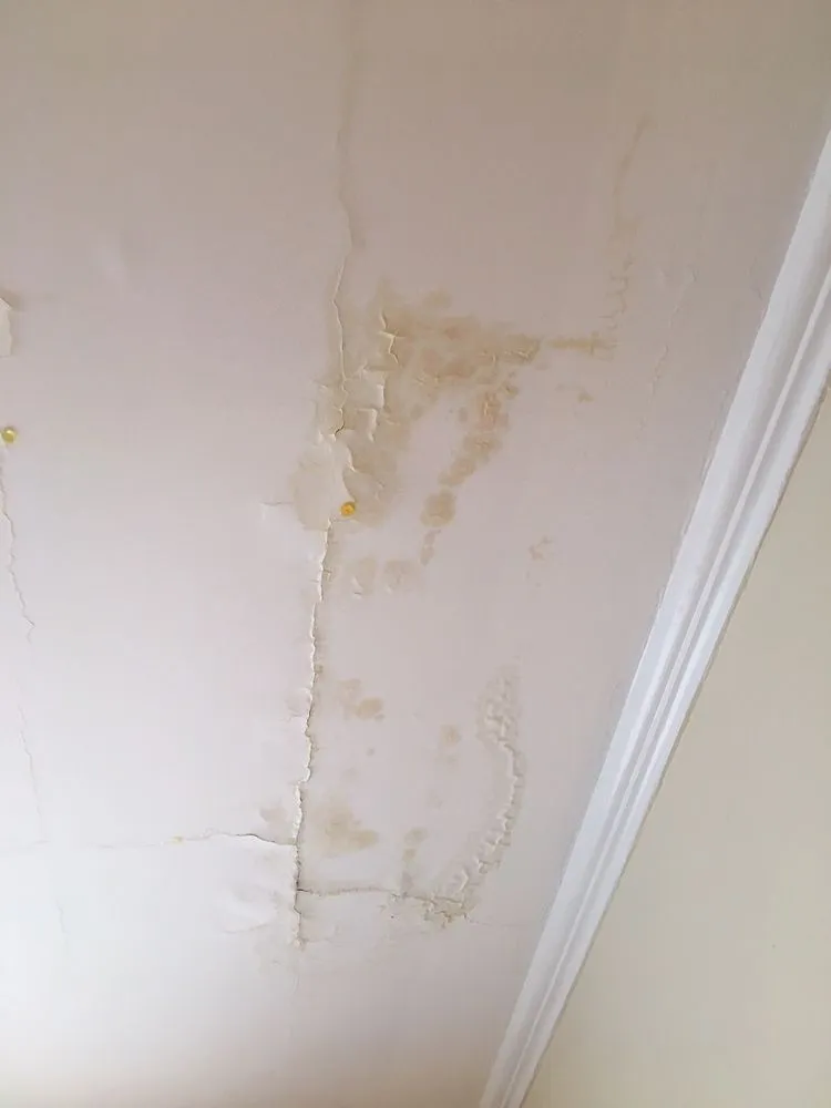 Professional electrical service for homes in circuit breaker repair,  by 