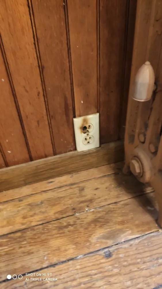 Slide of Tyger Electric