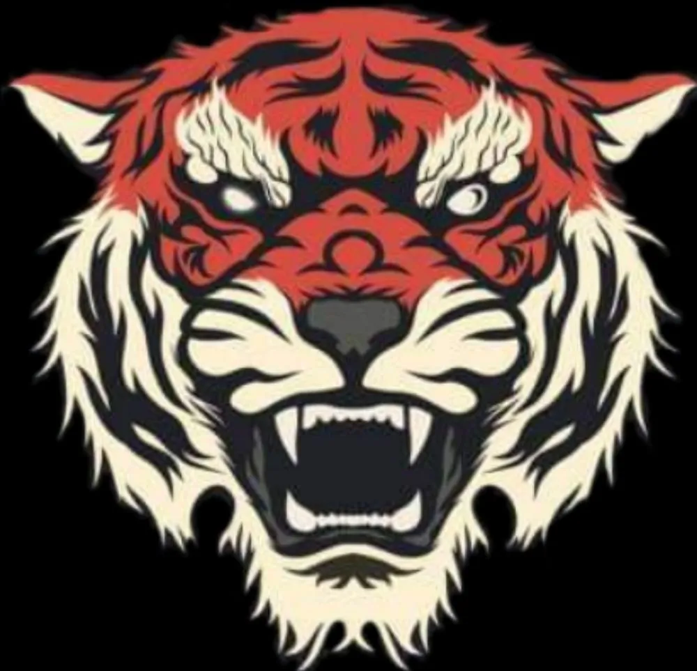 Slide of Tyger Electric