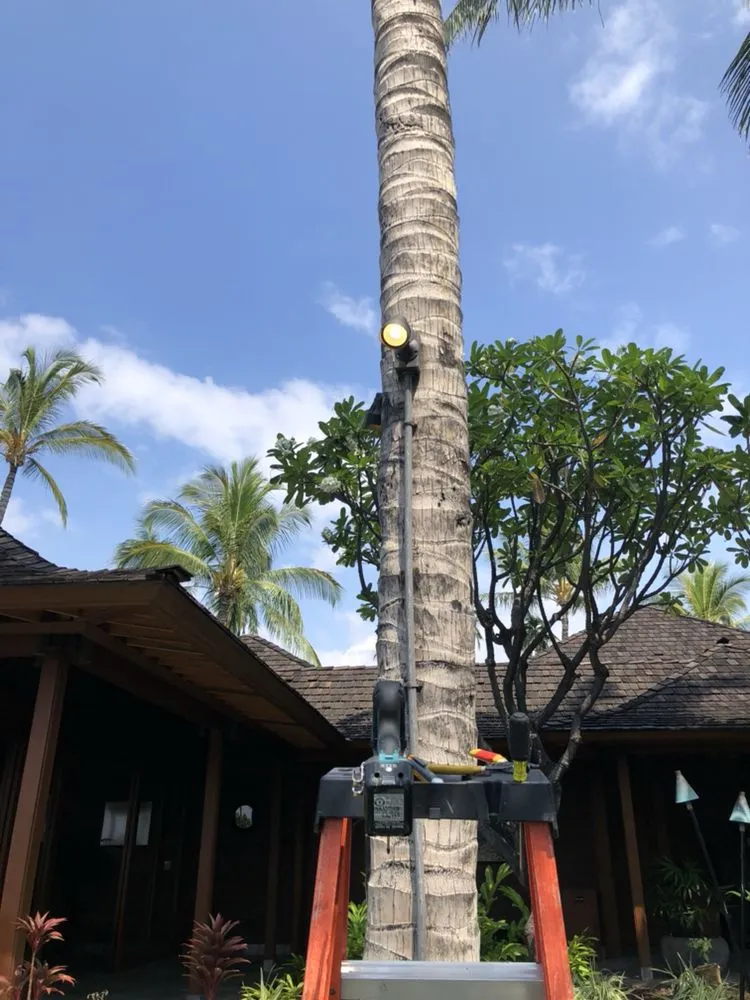 Slide of Ultimate Electrical