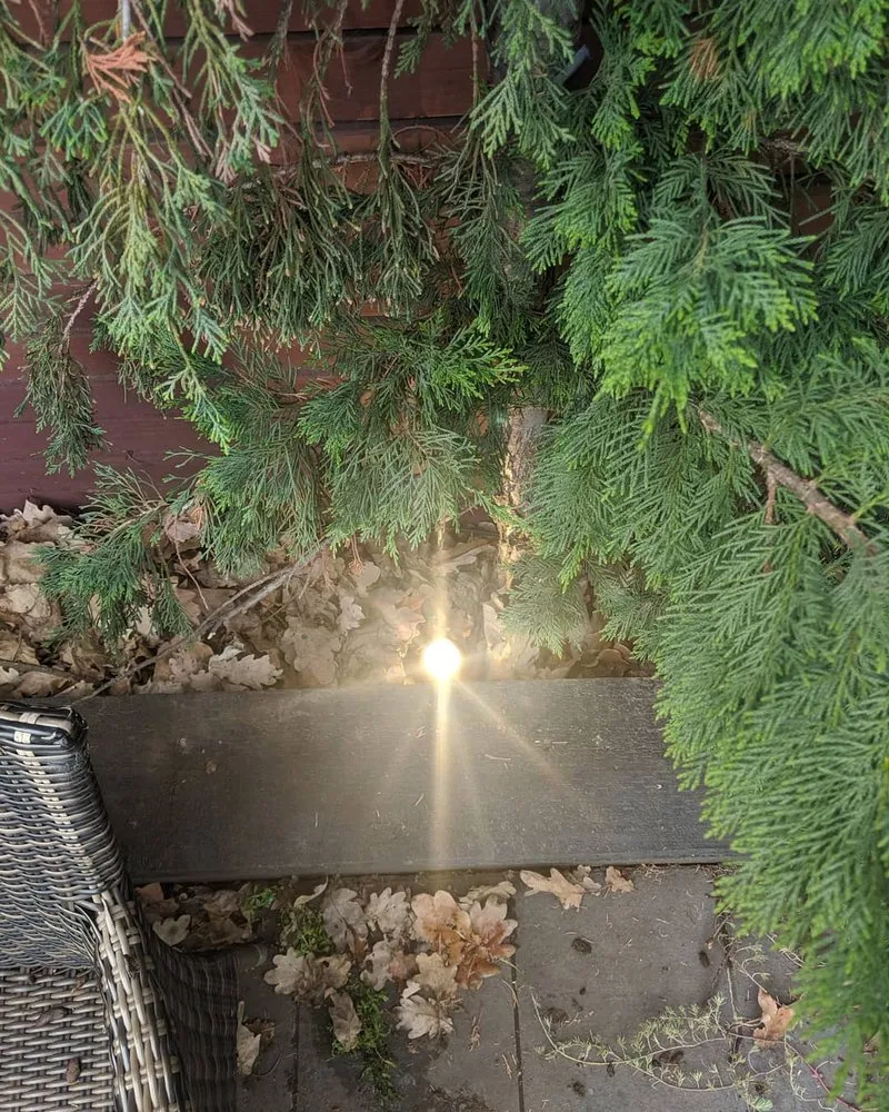 Slide of Umbrella Electric