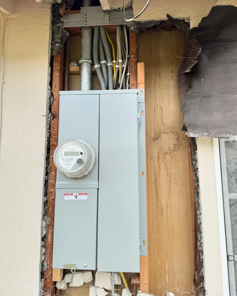 Professional electrical service for homes in panel upgrade, by