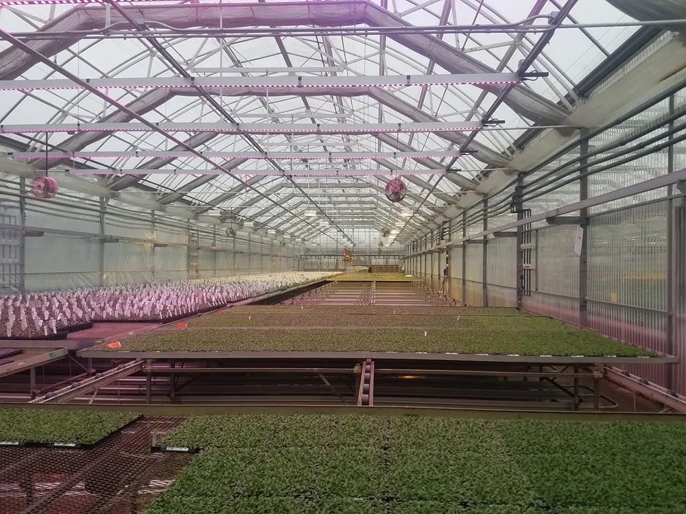 Slide of Universal Power And Electric