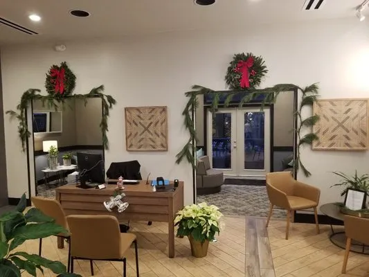 Urbanized Electric Logo