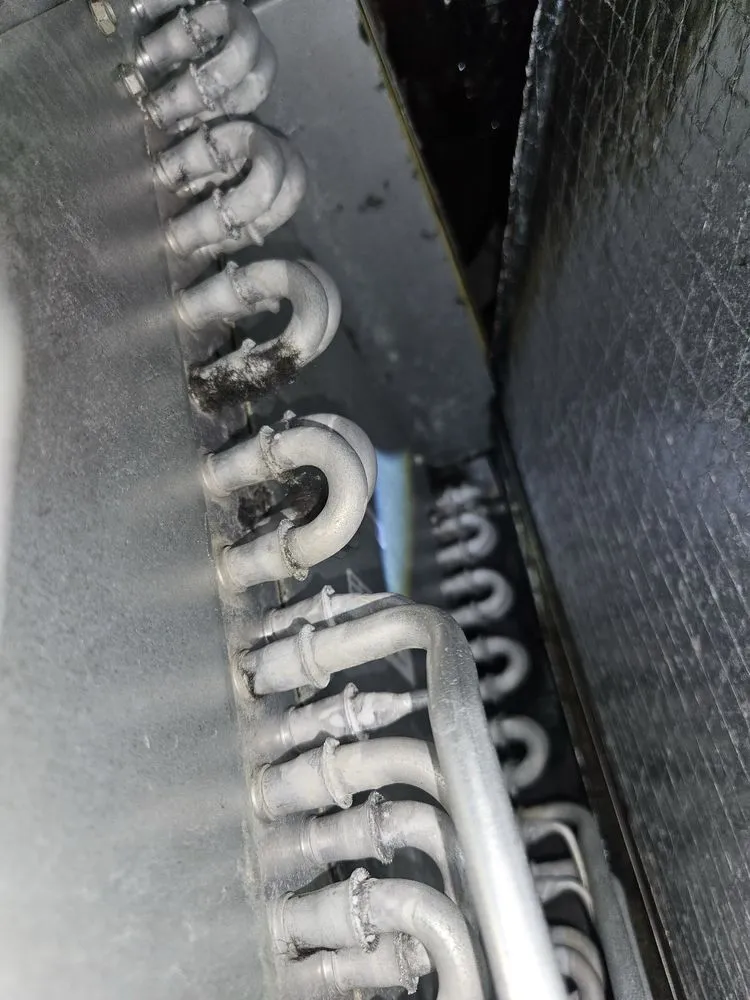 Slide of URBN Home Services