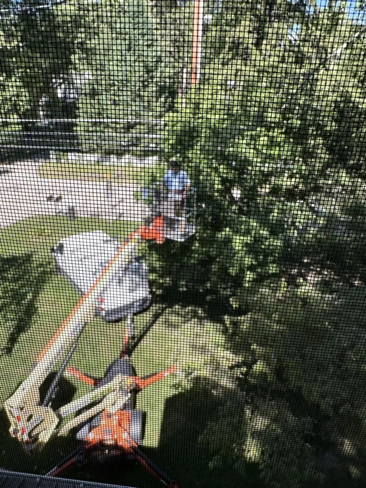 Affordable lighting installation service in , - US-SPEC ELECTRIC