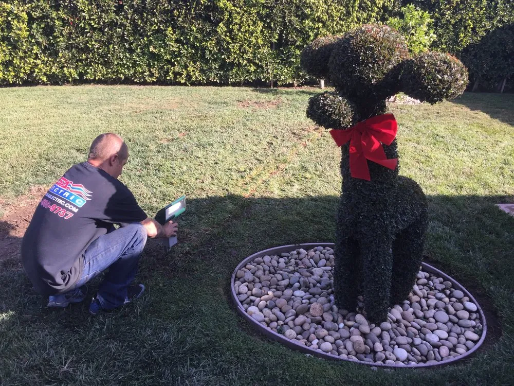 Slide of USA Electric