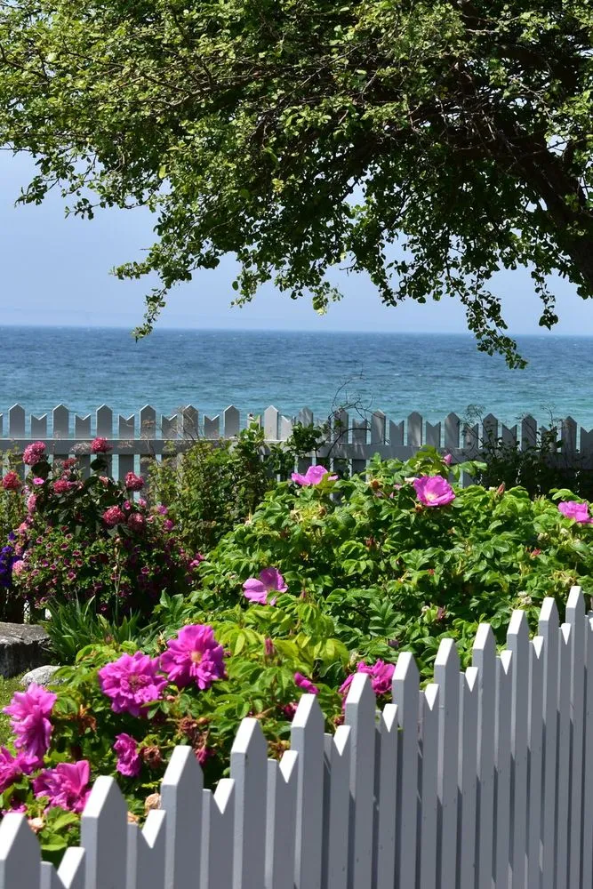 Slide of USA Elite Builders