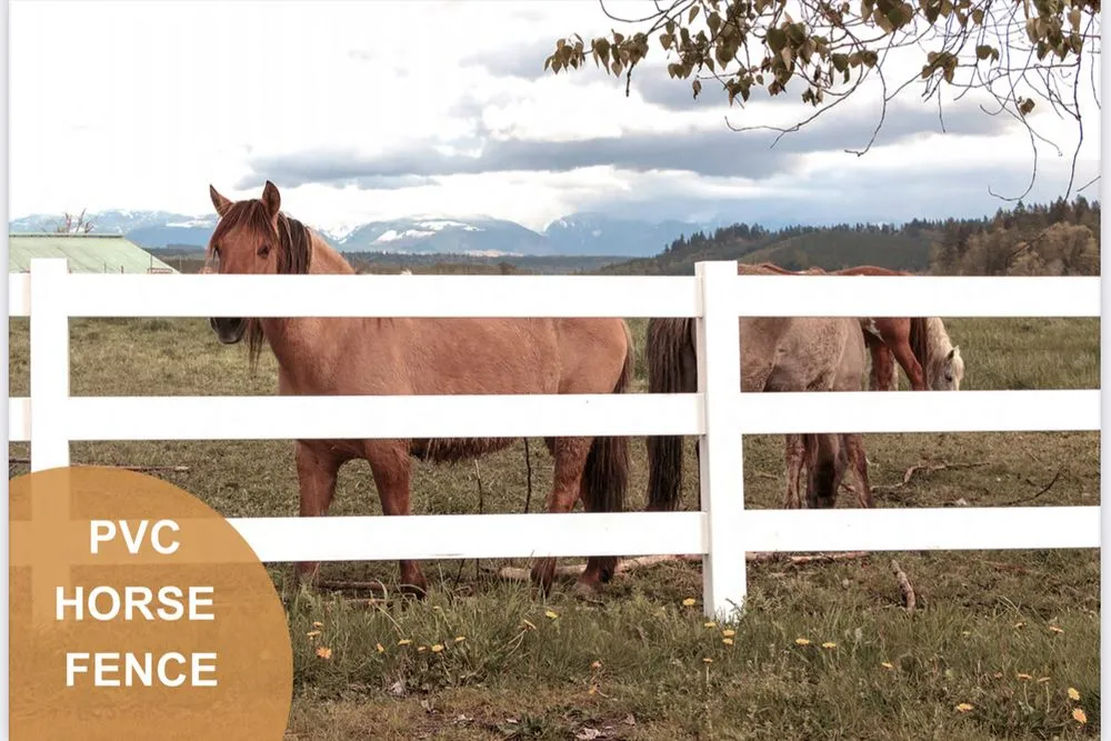 Slide of USA Elite Builders