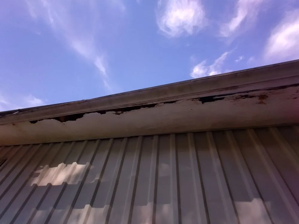 Slide of ValenciaPros