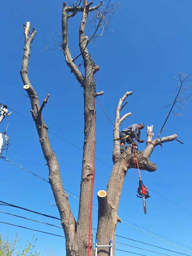 Slide of ValenciaPros