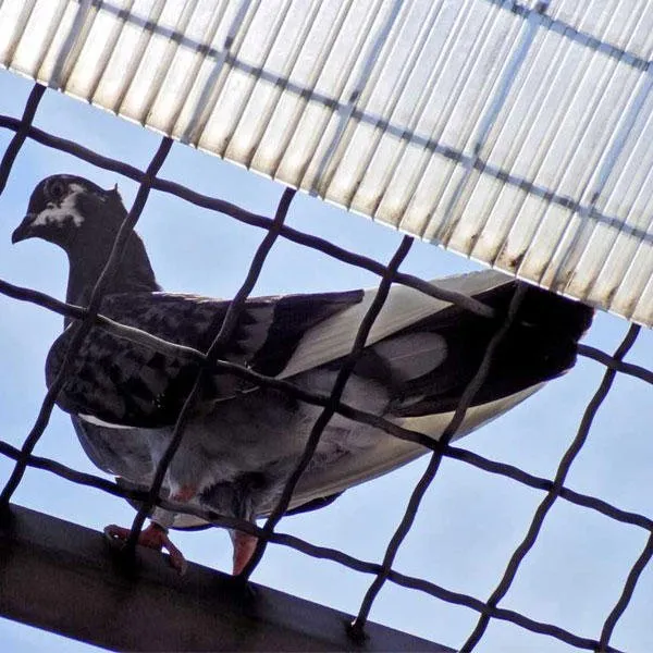 Slide of Van Sant Electrical