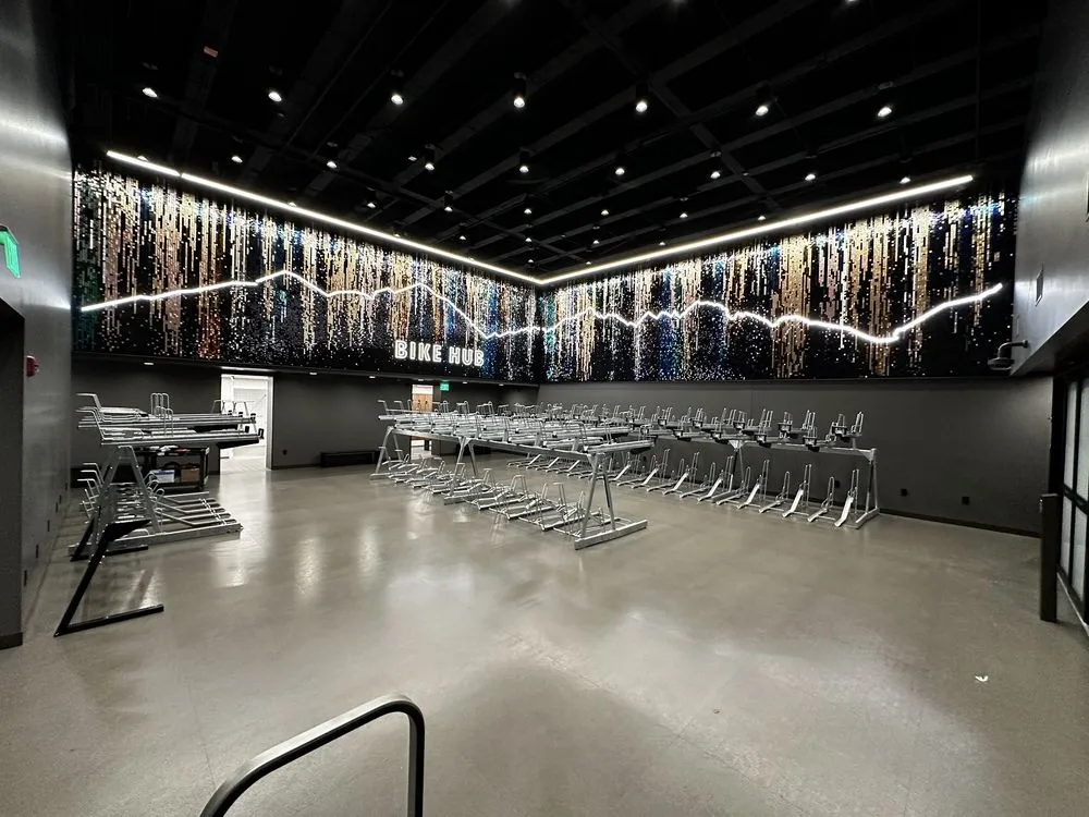 Slide of Vanguard Electric