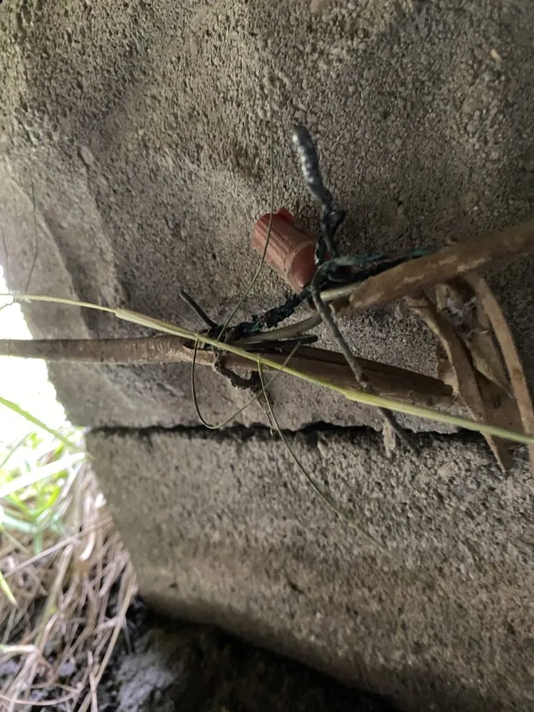 Slide of Vasquez Electric