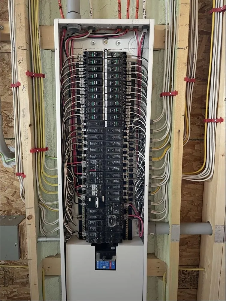 Slide of VB Cable & Electric