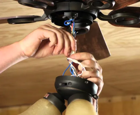 Slide of Vector Electric