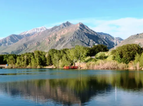 Slide of Vector Electric