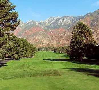 Slide of Vector Electric