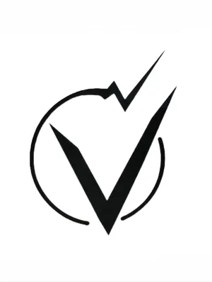 Vector Electrical Group Logo