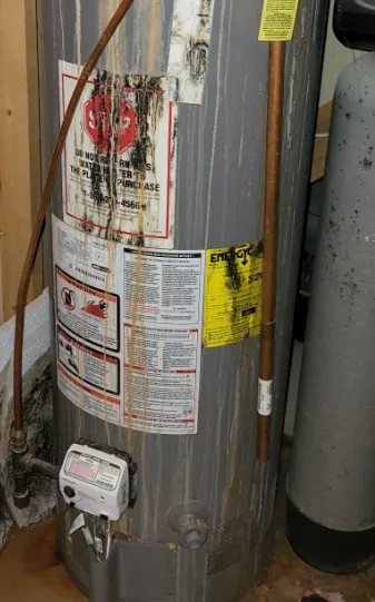 Slide of Vector Services