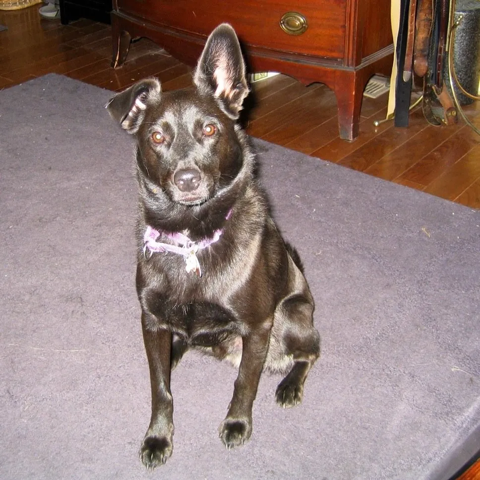 Slide of Vedder Electric