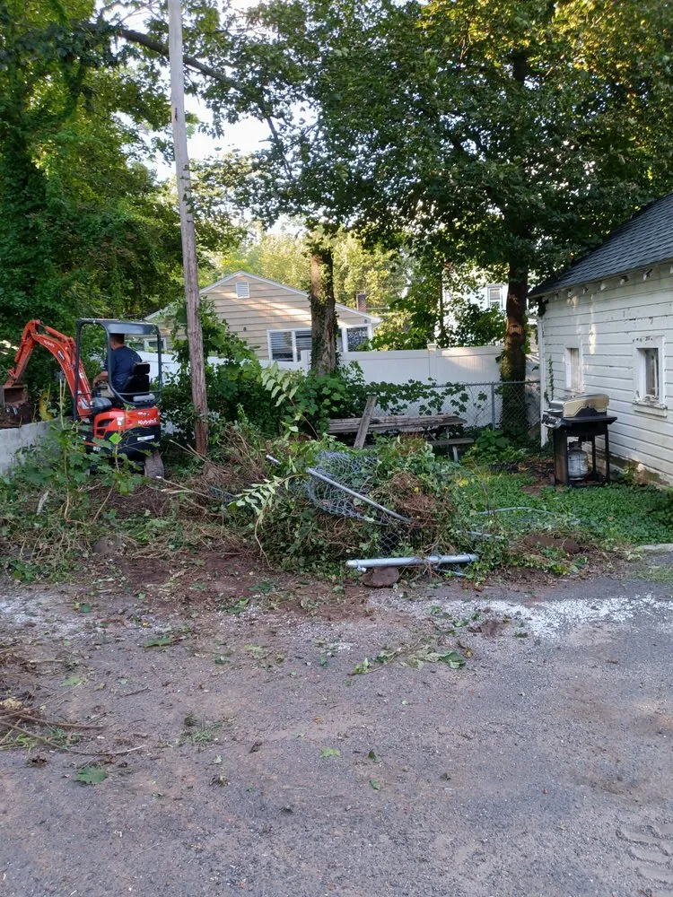 Slide of Vehement Management