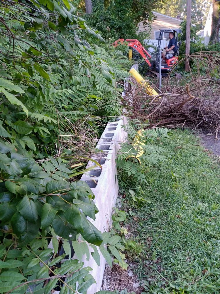 Slide of Vehement Management