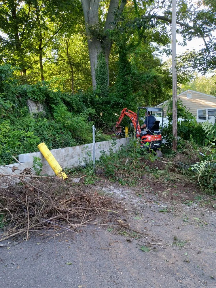 Slide of Vehement Management