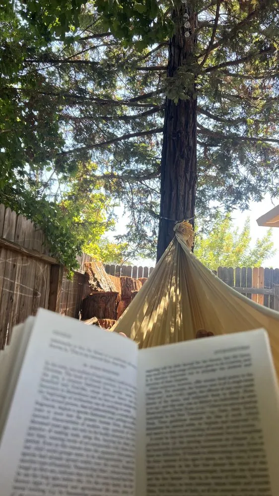 Slide of Velo Electric