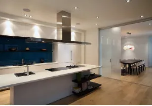 Slide of Venice Electric