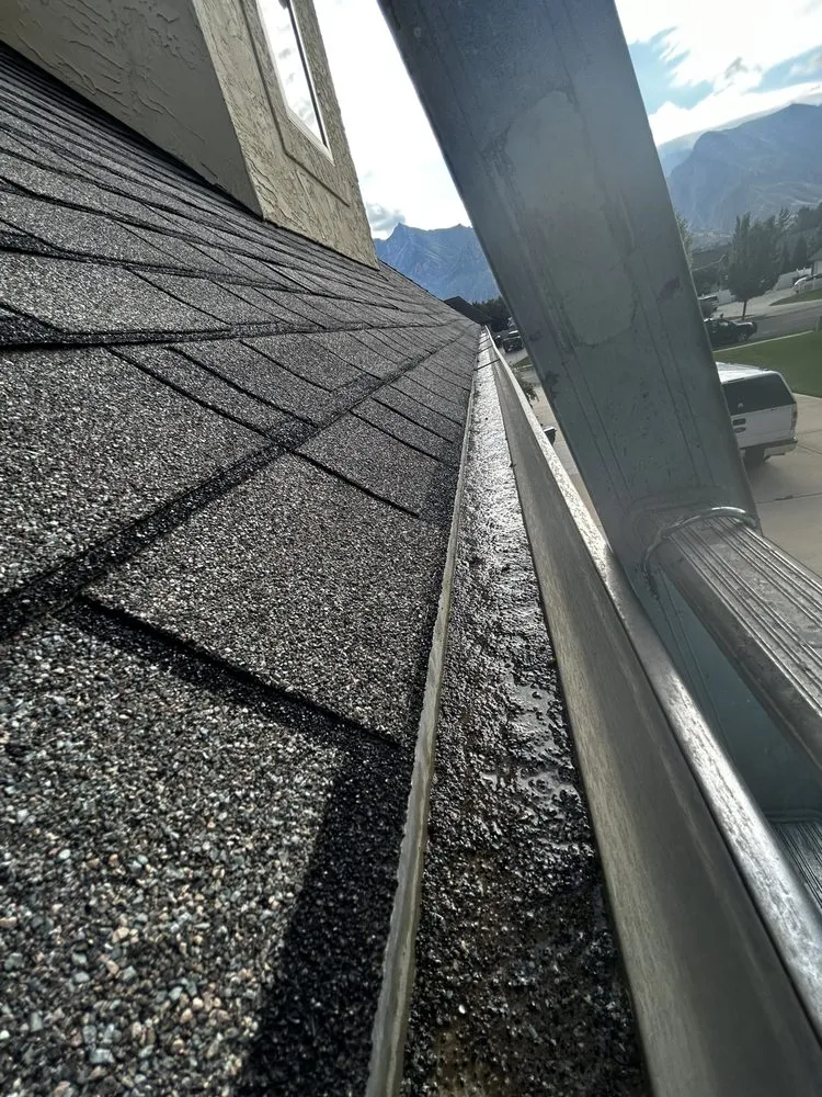 Slide of Vera Handyman