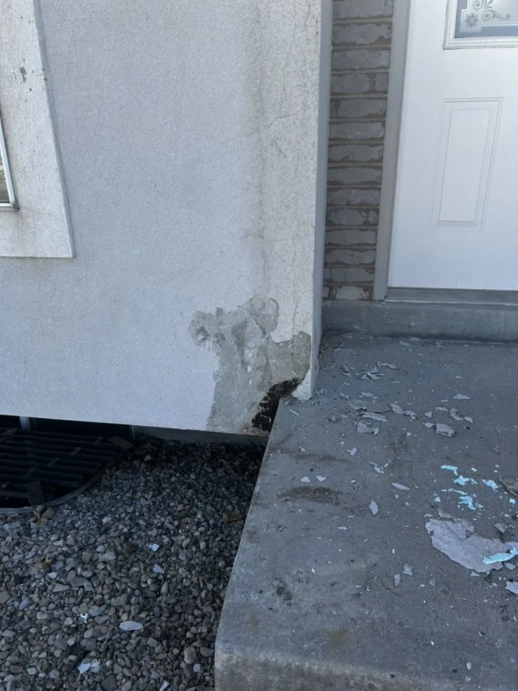 Slide of Vera Handyman