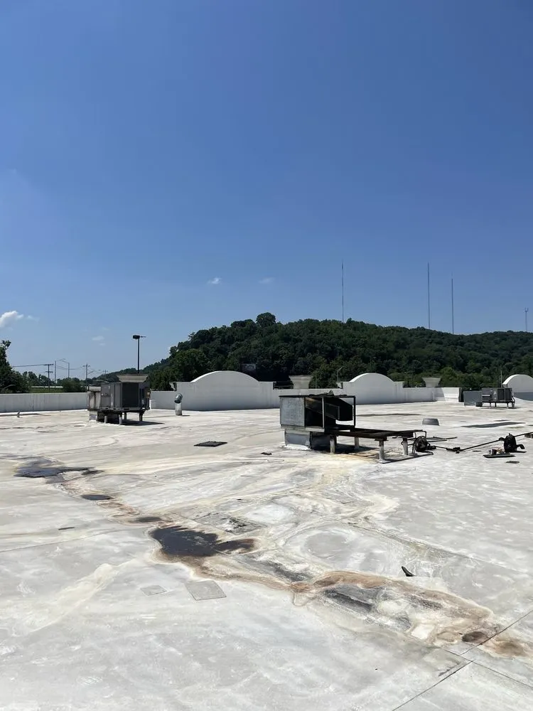 Slide of Veracity Services