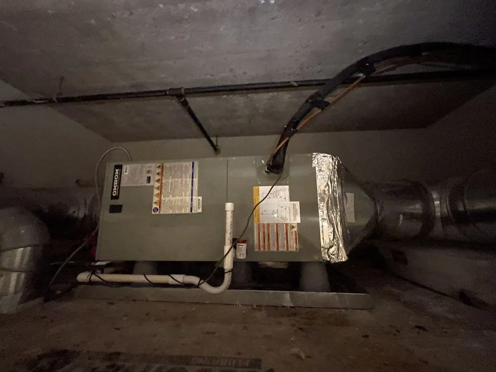 Slide of Veracity Services