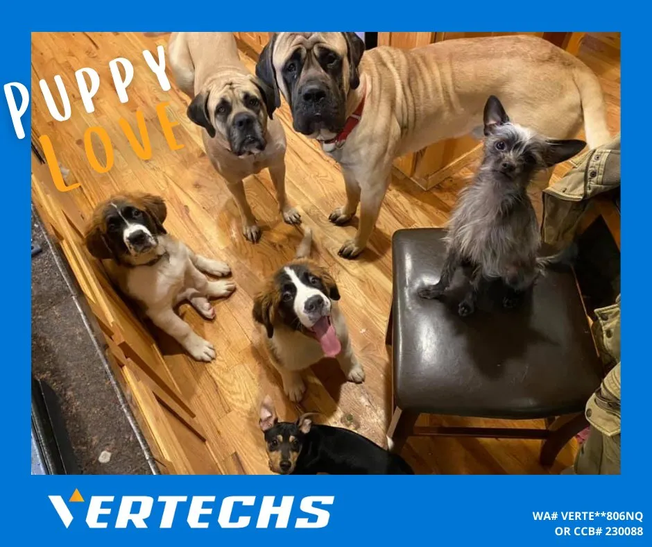 Slide of Vertechs Electric