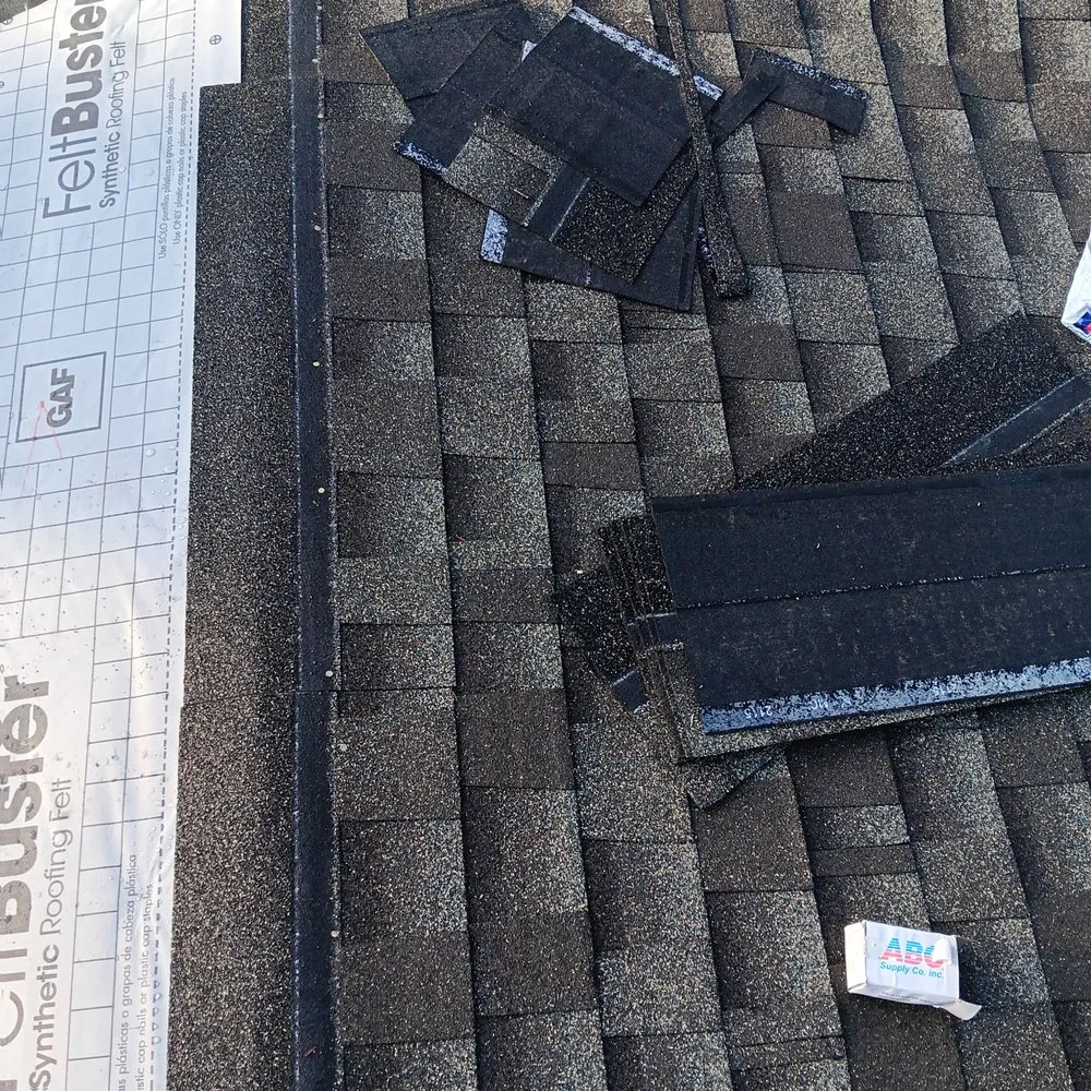 Professional electrical service for homes in panel upgrade,  by 