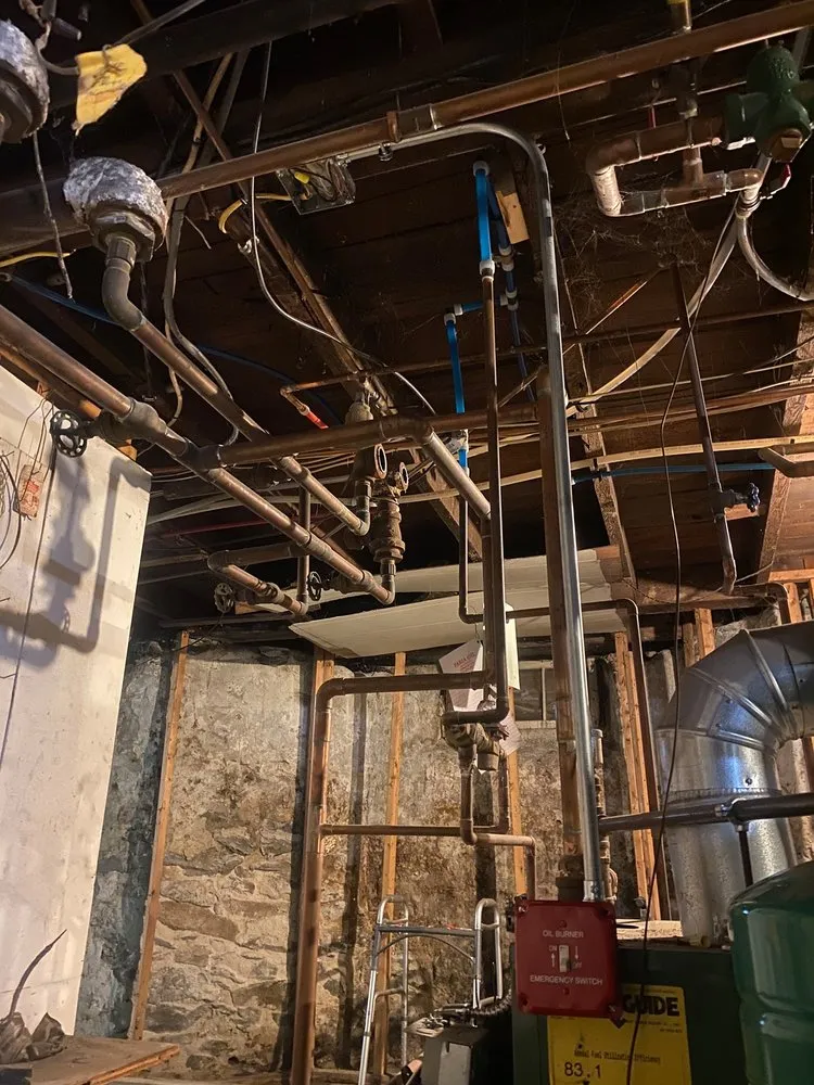 Slide of Vet Electric