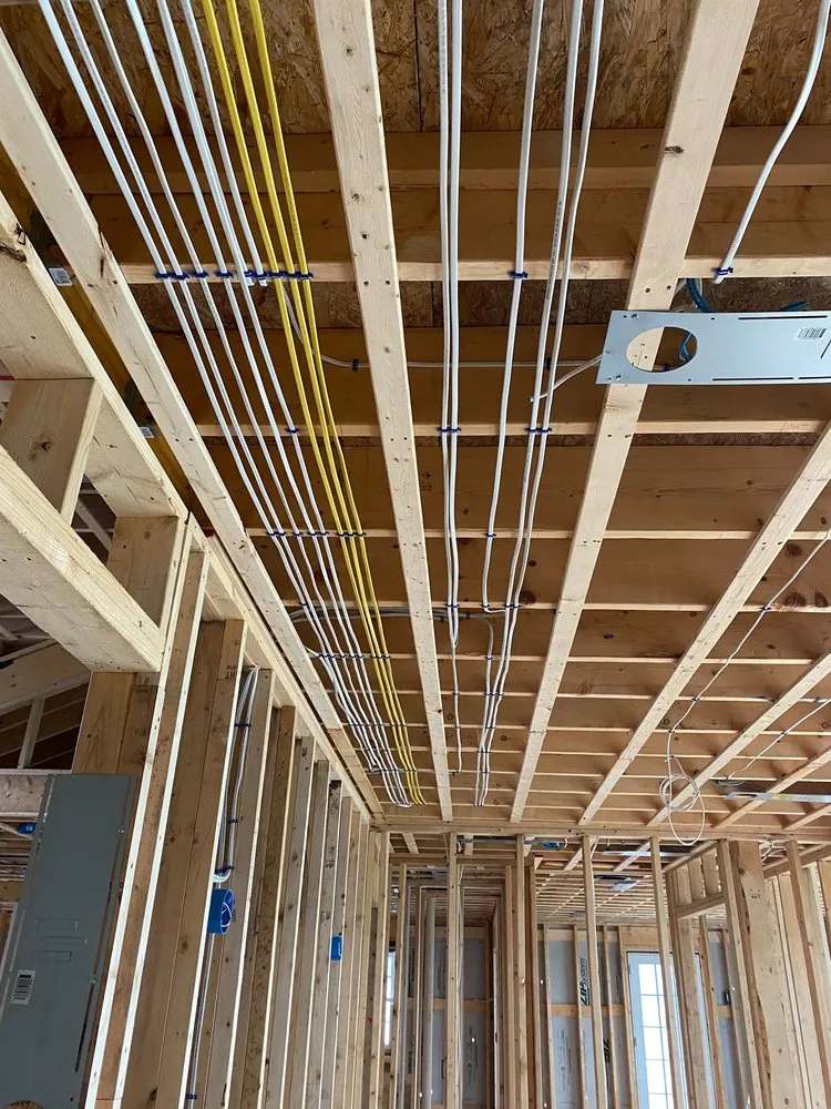 Slide of Vet Electric