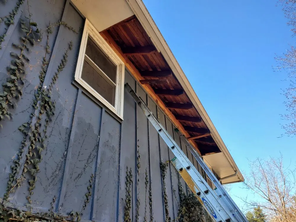 Slide of Victor Mejia