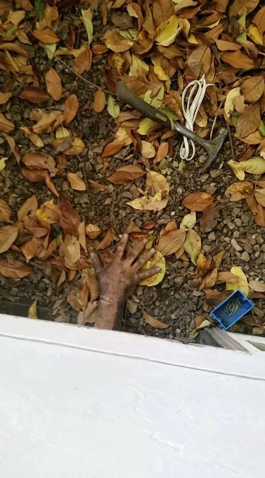 Slide of Victor Tiche Electric