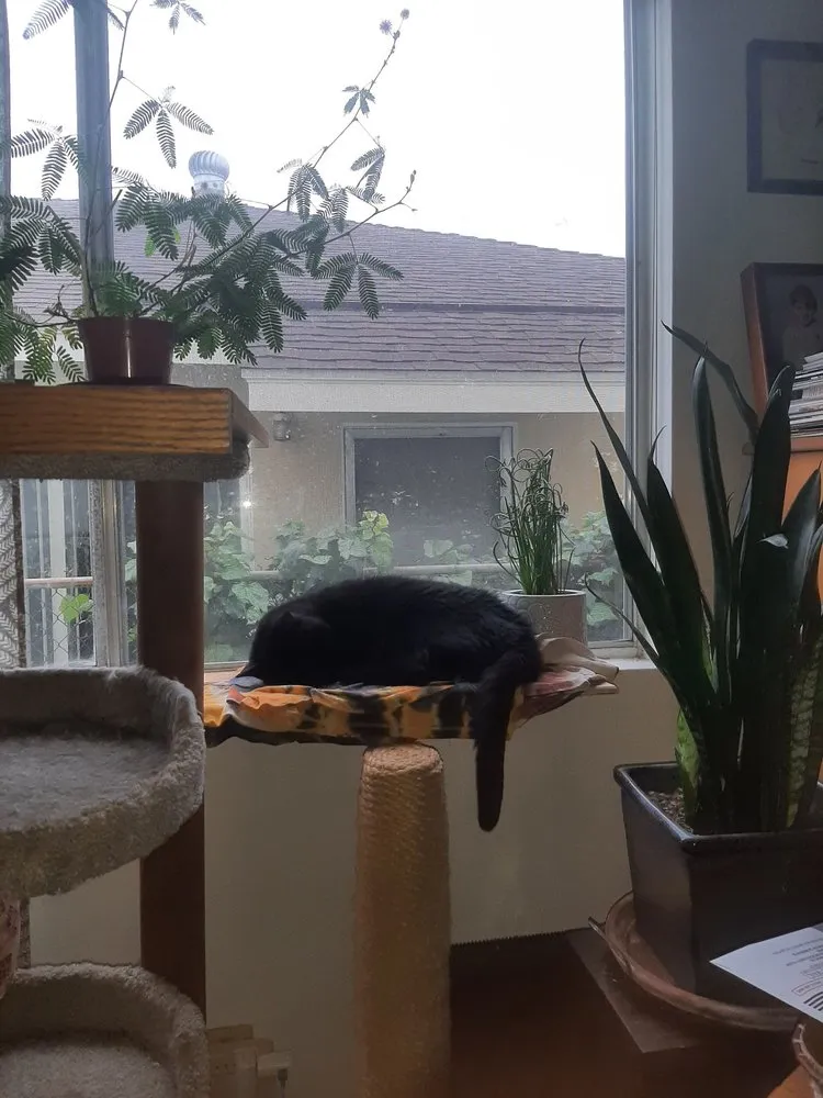 Slide of Victor White Handyman