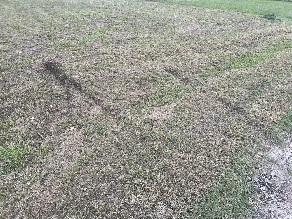 Slide of Victoria Electric Coop