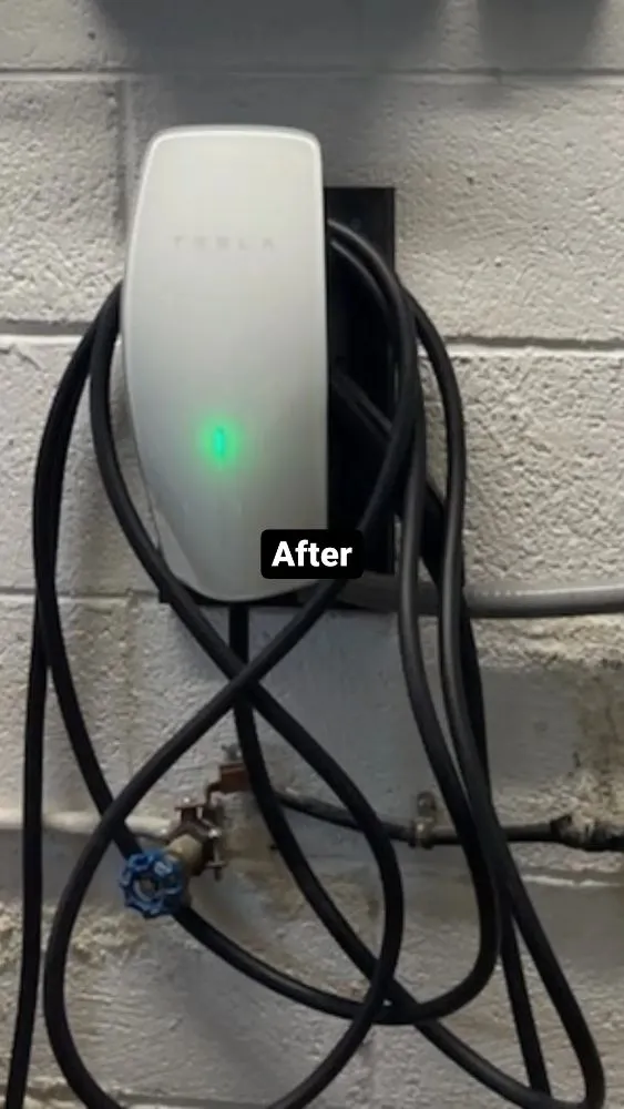 Slide of Vidal Works