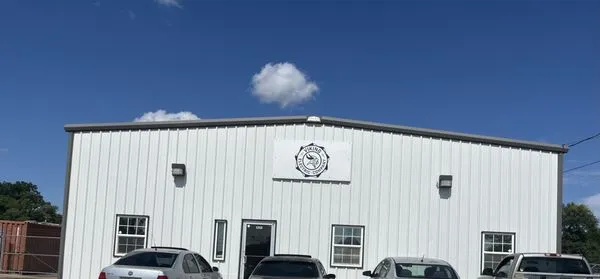 Viking Electric Logo