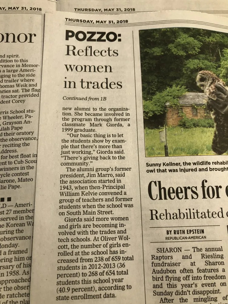 Emergency panel upgrade experts serving ,  - Viking Electrical