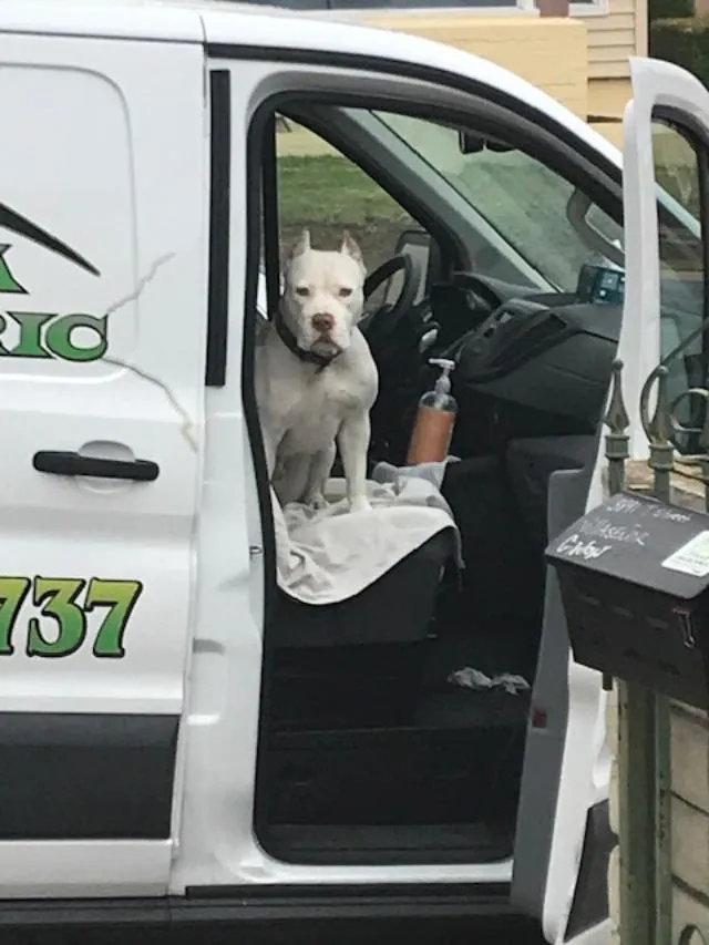 Slide of Villa Electric