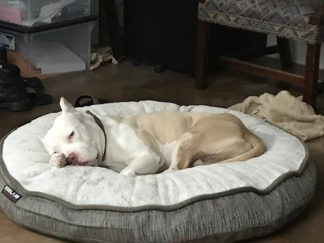 Trusted lighting installation in , by Villa Electric